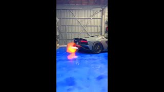 Lamborghini Aventadors Firing 🔥🔥