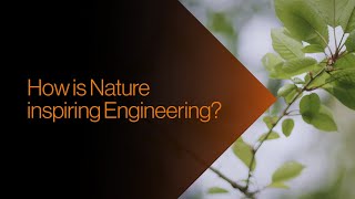 How is Nature Inspiring Engineering? | Disruptive Thinkers