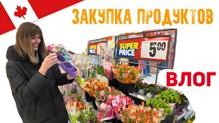 Влог Канада/ Закупка продуктов на неделю/ Цены на продукты/ Большая закупка на неделю в Канаде/