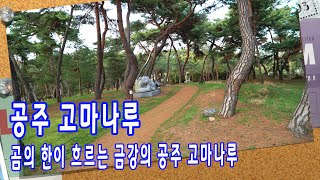 공주 고마나루 - 곰의 한이 흐르는 금강의 고마나루