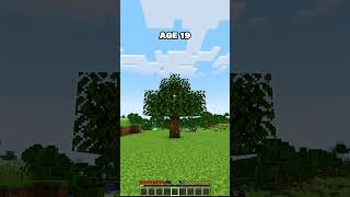 MINECRAFT : SMALLEST BASES AT EVERY AGE🤯 (WORLD'S SMALLEST VIOLIN) #minecraft #shorts