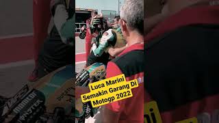 Luca Marini Vr46 Racing Team Semakin Garang Motogp 2022