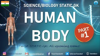 Human Body | Static GK MCQs & Concepts | Biology | Science | IIFT, XAT, CMAT, TISSNET, SSCCGL, Banks