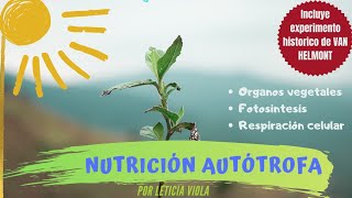 NUTRICIÓN AUTÓTROFA