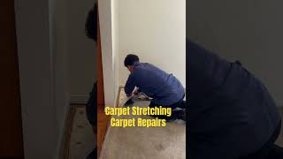 Carpet Stretching in Puyallup Washington. #shorts #carpetstretching #puyallupcarpetcleaners #carpet