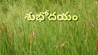 Shubodayam/Good Morning WhatsApp Video Status Telugu/Power Lines