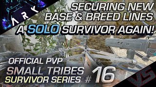 Official Small Tribes #16 | SECURING THE NEW BASE | Back Solo | Ark Official PvP