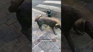 Zinneke pis | Tourist attraction | #belgique 🇧🇪 #zinneke #pis #pee #dog #chien #hund #belgium