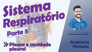 Sistema Respiratório - Aula 05 - Pleura e cavidade pleural - Anatomia Humana