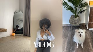 VLOG : K/KASA SHOOT | MY DOG GOT SICK | I TRIED THE ANTHONY DICKENS METHOD AGAIN! | vlog #5