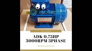 adk 0.75hp 3000rpm 3phase