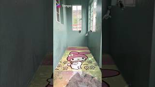 Bottle Collision Of My Melody #tempo #tempoapp #shorts #viral #justforfun