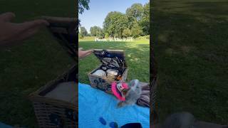 Picnic in the Park #picnic #picnicspot #picnicinthepark #romance #picnicdate #picnicfood