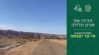 חניון לילה חי בר יטבתה – לישון ליד הספארי