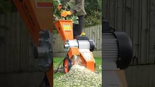 Forest Master FM4DDE-MUL 3-in-1 Electric Shredder/Mulcher #shorts #woodchipper #gardening