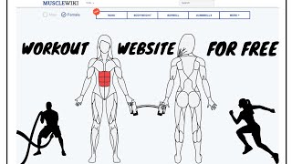 MuscleWiki | Online Training | Workouts | Website | For Free