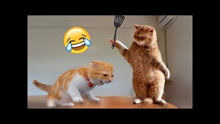 Funniest cats 🐈 😺 and dogs 🐶 🐕 Vedio Try not to Laugh #shorts #viralvideo #pets #fytshorts