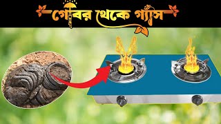 Biogas Plant। How to Make Mini Gobar Gas Plant at home। কিভাবে গোবর গ্যাস প্লান্ট বানাবো