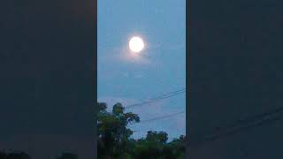 Today's Moon #nature #shorts