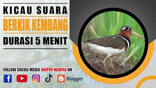 SUARA BURUNG BERKIK KEMBANG RAWA