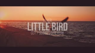 Lexer - Little Bird / Slowed & Reverb / Cut