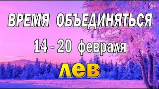 ЛЕВ⚡️АКЦЕНТ на ЗДОРОВЬЕ⚡️неделя с 14 по 20 февраля. Таро прогноз гороскоп гадание