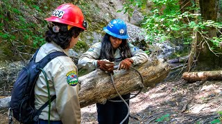 Getting a Grip on Restoring State’s Salmon Habitat