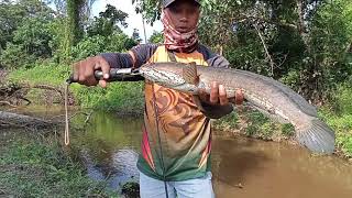 kanal yg 1 ini luar biasa isinya😀😀//mancing gabuss//casting gabuss👍👍