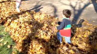 Playing in Leaves 2