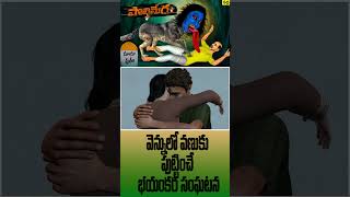 పొలిమేర  Real Horror Story in Telugu | polimera Real Ghost Experience | Animals Horror Stories _ 13