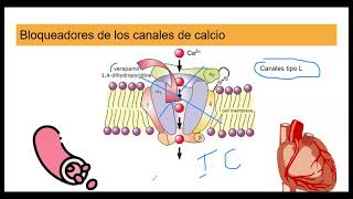 Antihipertensivos #Antihipertensivos #PresiónArterial