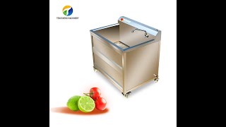 Single tank vegetable washing machine