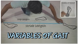 Variables of gait cycle | How to measure variables of gait cycle? |physio by heart