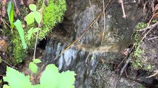 Mysterious Secrets of the Enchanted Creek