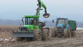 Snow corn harvest