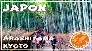 Arashiyama - Bamboo Grove - Bosque de Bambus - Kyoto - VIAJE A JAPÓN CAPITULO 14