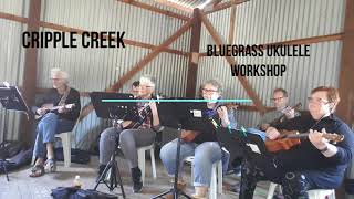 Cripple Creek - bluegrass ukulele workshop at Wirrina Cove Bluegrass and Acoustic Roots Festival