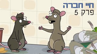 ניר וגלי חיי חברה - סוף היום