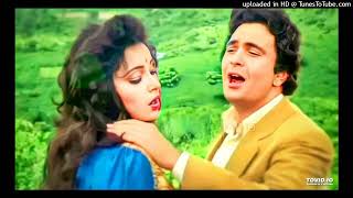 Tu Neendon Ki Raani Aur Main Pyar Ka Sapna | Udit Narayan, Anuradha Paudwal | Honeymoon (1992)