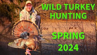 Wild Turkey Hunt 2024