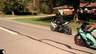 ZX10R and ZX6R wheelies