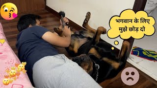 Dog getting irritated by dad | Funny dog videos 😀