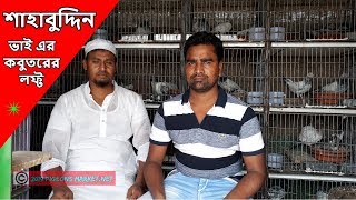 Shahabuddin pigeon loft | Ekuria Madhyapara | শাহাবুদ্দিন ভাই এর কবুতরের লফ্ট | ইকুরিয়া মধ্যপাড়া