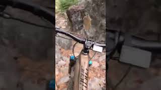 HOLY $#!@ True Enduro E-MTB Trail w/ Technical Descents