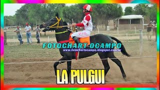 LA PULGUI   Corzuela   Chaco 06 10 2024