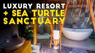 LUXURY RESORT + Diving Apo Island | Dumaguete, Philippines