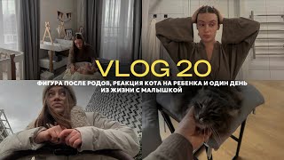 vlog 20 / про фигуру после родов и новый гардероб / реакция кота на ребенка / один день с малышкой