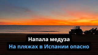 Напала медуза в Испании. Выжить или...???