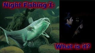 Night Fishing: What is it?