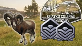 An AMAZING HUNT On Cuatro Colinas